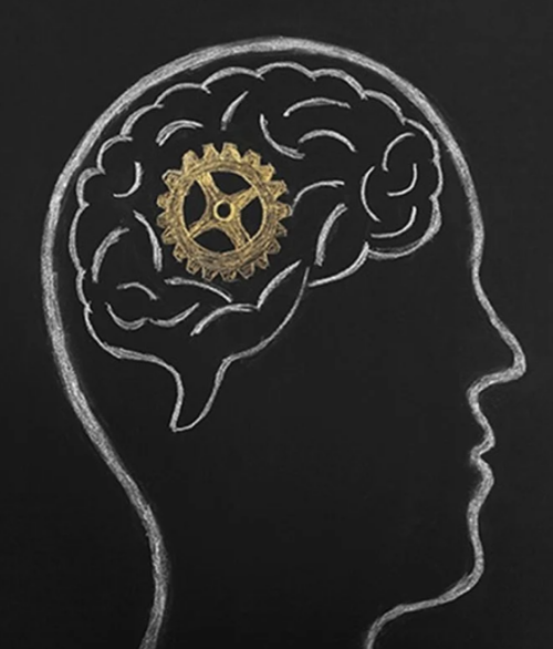 neuro pic